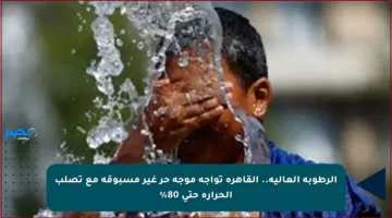 الرطوبة العالية.. القاهرة تواجه موجة حر غير مسبوقة مع تصلب الحرارة حتى 80%